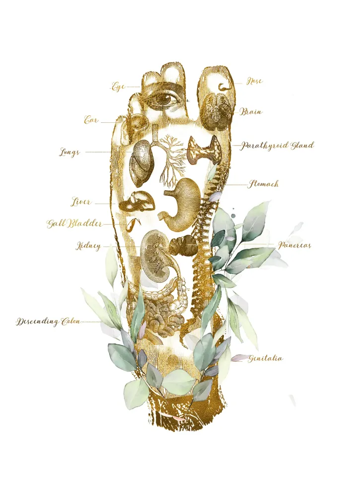 map body (2)