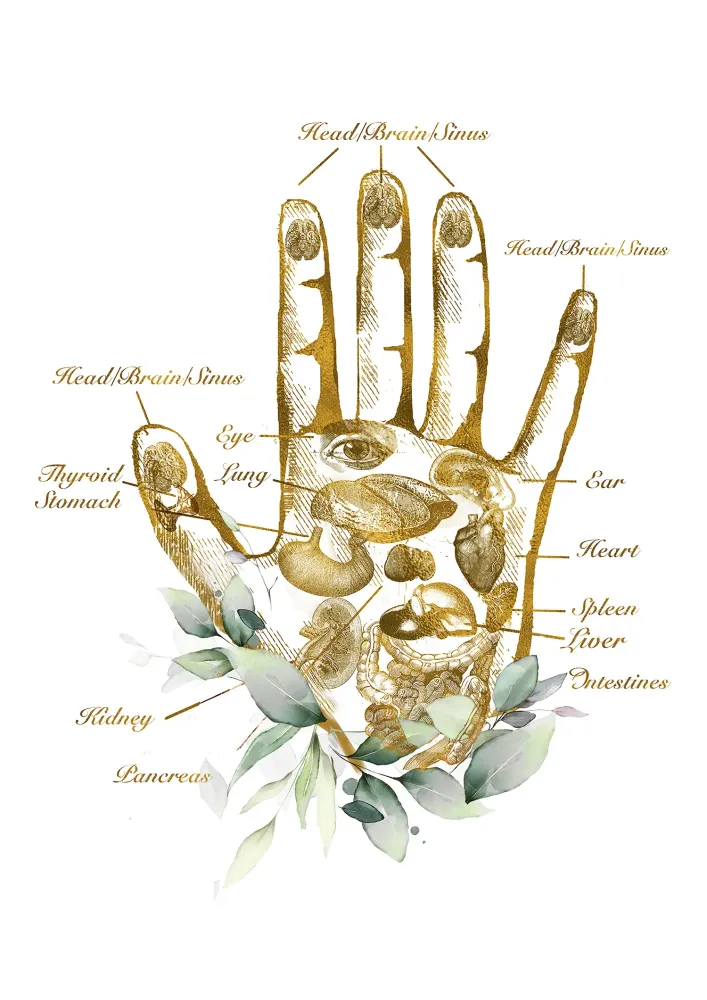 map body (3)